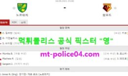 9월18일 EPL 분석 노리치 vs 왓포드 먹폴 픽스터 영 0 (0)