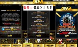 골드머니 먹튀 ! 고액당첨금 위주 먹튀발생 먹튀폴리스에서 검거 완료 3 (2)