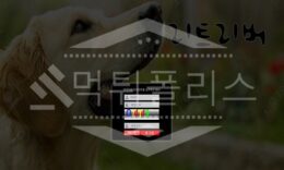 리트리버 신규사이트 먹튀폴리스에서 토토사이트 스포츠토토 먹튀검증중 0 (0)
