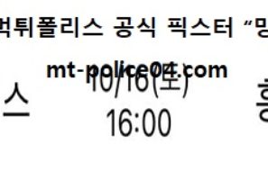 10월 16일 V리그 분석 GS칼텍스 vs 흥국생명 먹폴 픽스터 망동