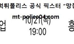 10월 21일 V리그 분석 IBK기업은행 vs 흥국생명 먹폴 픽스터 망동 0 (0)