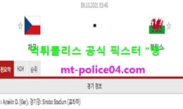 10월9일 월드컵예선 분석 체코 vs 웨일스 먹폴 픽스터 영 0 (0)