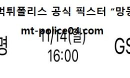 11월 14일 V리그 분석 흥국생명 vs GS칼텍스 먹폴 픽스터 망동 0 (0)