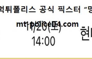 11월 20일 V리그 분석 OK금융그룹 vs 현대캐피탈 먹폴 픽스터 망동