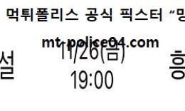 11월 26일 V리그 분석 현대건설 vs 흥국생명 먹폴 픽스터 망동 0 (0)