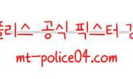 11월23일 내슈빌 VS 애너하임 NHL 분석 먹폴 갱스터 0 (0)