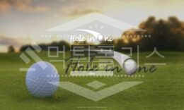 신규사이트 홀인원 먹튀폴리스에서 토토사이트 먹튀검증 먹튀확인중 0 (0)
