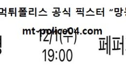 12월 1일 V리그 분석 흥국생명 vs 페퍼저축은행 먹폴 픽스터 망동 0 (0)