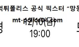 12월 10일 V리그 분석 흥국생명 vs 한국도로공사 먹폴 픽스터 망동 0 (0)