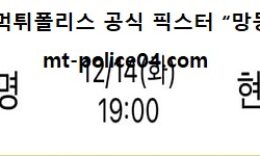 12월 14일 V리그 분석 흥국생명 vs 현대건설 먹폴 픽스터 망동 0 (0)