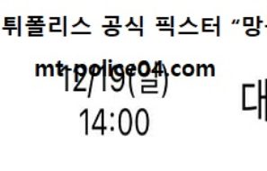 12월 19일 V리그 분석 KB손해보험 vs 대한항공 먹폴 픽스터 망동