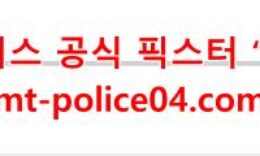 12월16일 NHL 애너하임 시애틀 분석 먹폴 갱스터 0 (0)