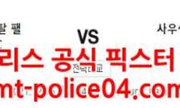 12월16일 프리미어리그 크리스탈 팰리스 사우샘프턴 분석 먹폴 갱스터 0 (0)