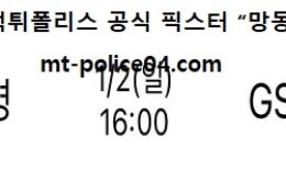 1월 2일 V리그 분석 흥국생명 vs GS칼텍스 먹폴 픽스터 망동 0 (0)