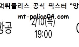 2월 10일 V리그 분석 대한항공 vs OK금융그룹 먹폴 픽스터 망동 0 (0)