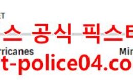 2월13일 NHL 미네소타 캐롤라이나 분석 먹폴 갱스터 0 (0)