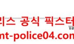 2월20일 NHL 밴쿠버 애너하임 분석 먹폴 갱스터 0 (0)