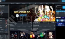 시바벳 신규사이트 먹튀폴리스에서 토토사이트 스포츠토토 먹튀검증중 0 (0)