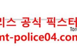 2월20일 NHL 토론토 세인트루이스 분석 먹폴 갱스터 0 (0)