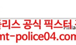 2월23일 NHL 필라델피아 세인트루이스 분석 먹폴 갱스터 0 (0)