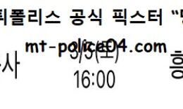 3월 5일 V리그 분석 한국도로공사 vs 흥국생명 먹폴 픽스터 망동 0 (0)