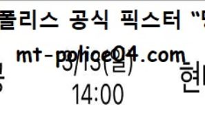 3월 13일 V리그 분석 대한항공 vs 현대캐피탈 먹폴 픽스터 망동