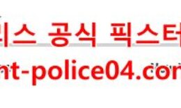 3월3일 NHL 뉴욕레인저스 세인트루이스 분석 먹폴 갱스터 0 (0)