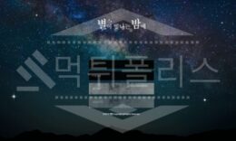 별밤 먹튀사이트 먹튀검거 후 사설사이트 먹튀내용 공유 먹튀폴리스 5 (1)