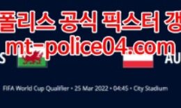 3월25일 월드컵 유럽예선 웨일스 오스트리아 분석 먹폴 갱스터 0 (0)