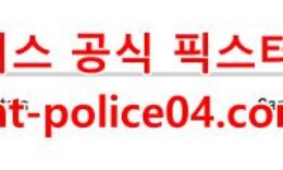 3월19일 NHL 캐롤라이나 워싱턴 분석 먹폴 갱스터 0 (0)