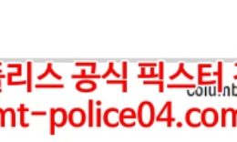 3월12일 NHL 콜럼버스 미네소타 분석 먹폴 갱스터 0 (0)