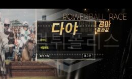 다야 신규사이트 먹튀폴리스에서 토토사이트 스포츠토토 먹튀검증중 0 (0)