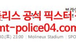 4월30일 프리미어리그 울버햄튼 브라이튼 분석 먹폴 갱스터 0 (0)