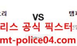 4월11일 MLB 탬파베이 볼티모어 분석 먹폴 갱스터 0 (0)