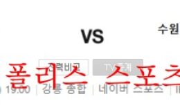 5월29일 K리그 강원FC 수원삼성 블루윙즈 분석 먹튀폴리스 0 (0)