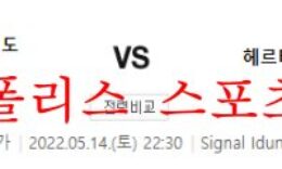 5월14일 분데스리가 도르트문트 헤르타베를린 분석 먹튀폴리스 0 (0)