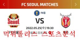 5월25일 하나원큐FA컵 FC서울 제주유나이티드 16강 분석 먹튀폴리스 0 (0)