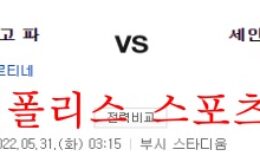 5월31일 MLB 세인트루이스 카디널스 샌디에이고 파드리스 분석 먹튀폴리스 0 (0)