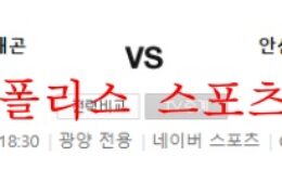5월21일 전남드래곤즈 안산그리너스 K리그2 분석 먹튀폴리스 0 (0)