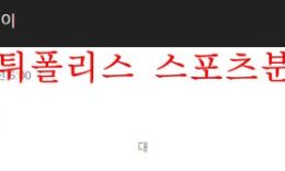 6월6일 A매치 미국 우루과이 국제친선 분석 먹튀폴리스 0 (0)