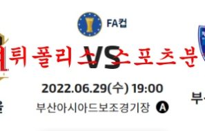 6월29일 하나원큐2022FA컵 부산교통공사 FC서울 분석 먹튀폴리스