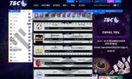 TNC 토토 TANDC2022.COM 신규사이트 먹튀 이력 조사중 0 (0)