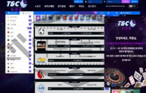 TNC 토토 TANDC2022.COM 신규사이트 먹튀 이력 조사중