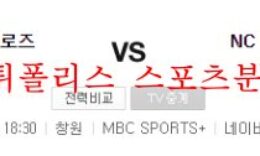 7월29일 KBO NC다이노스 키움히어로즈 크보 프리뷰 먹튀폴리스 0 (0)