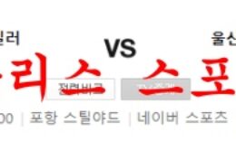 7월2일 K리그 포항스틸러스 울산현대 축구단 분석 먹튀폴리스 0 (0)