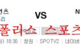 8월23일 KBO NC다이노스 롯데자이언츠 야구분석 먹튀폴리스 0 (0)