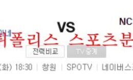 8월2일 KBO NC다이노스 KT wiz 국내 프로야구 분석 먹튀폴리스 0 (0)