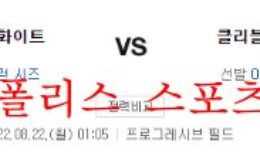 8월21일 MLB 클리블랜드 인디언스 시카고 화이트삭스 분석 먹튀폴리스 0 (0)