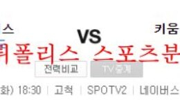 8월2일 KBO 키움히어로즈 SSG랜더스 크보 분석 먹튀폴리스 0 (0)