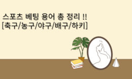 안전놀이터 스포츠 베팅 규정 및 용어 총정리 !! 4.8 (108)